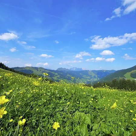 Hébergement de vacances Holiday Hirnreit Leogang